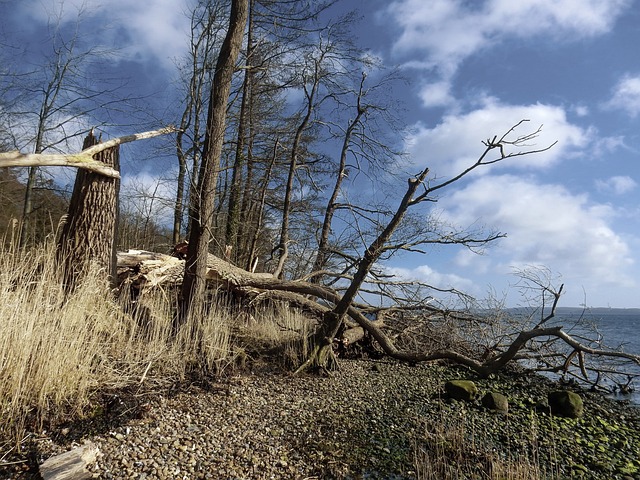 Water Damage Remediation Denver