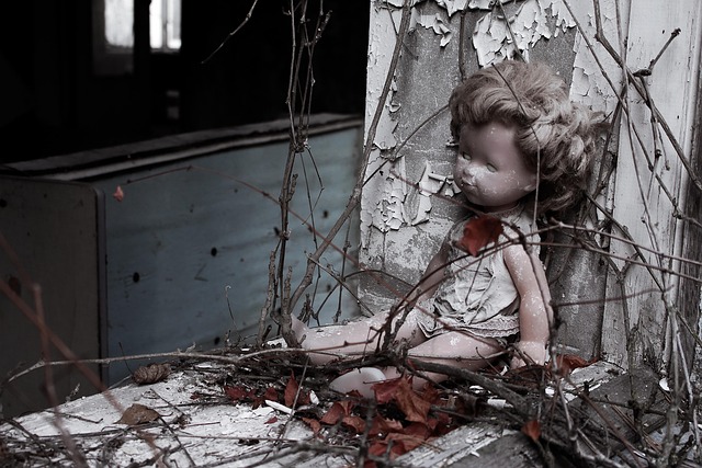 Disaster Restoration Services Denver