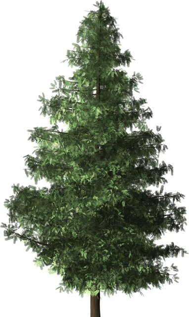 Eco-Friendly Flooring Denver