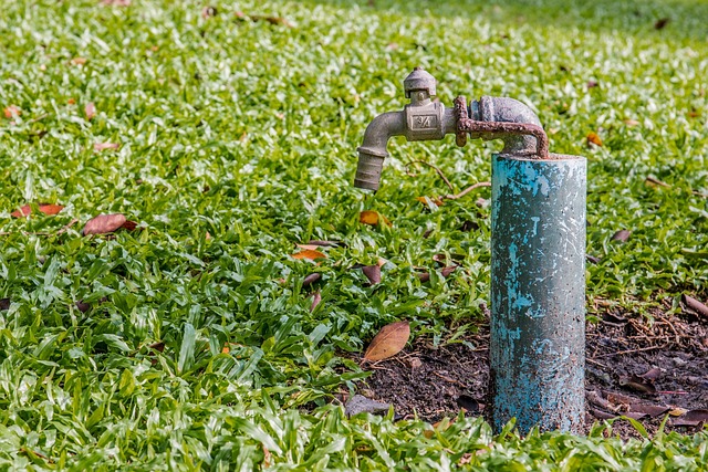 Faucet Installation Services Arvada