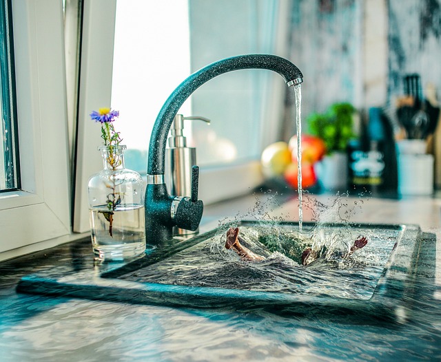 Kitchen Sink Plumbing Arvada
