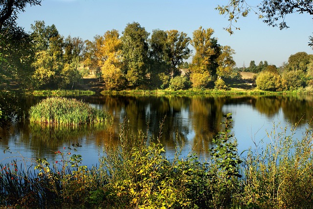 Licensed Plumber Arvada