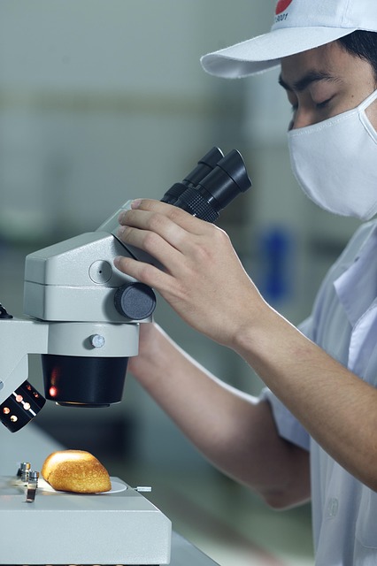 Mold Inspection Denver