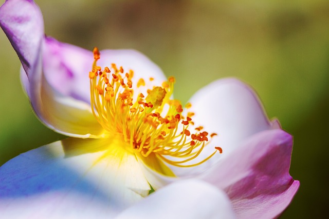 Rubber Flooring Installation Denver