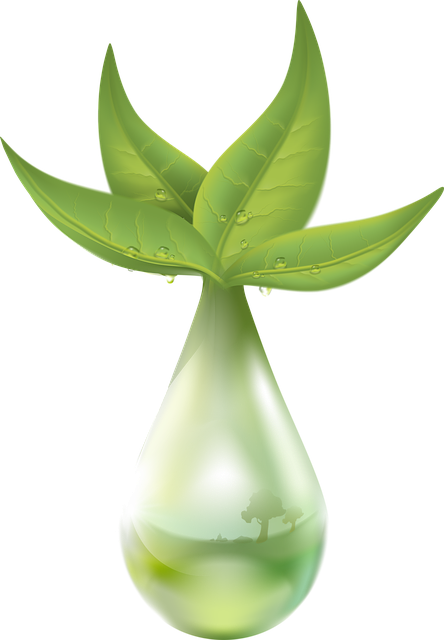 Water Extraction Denver